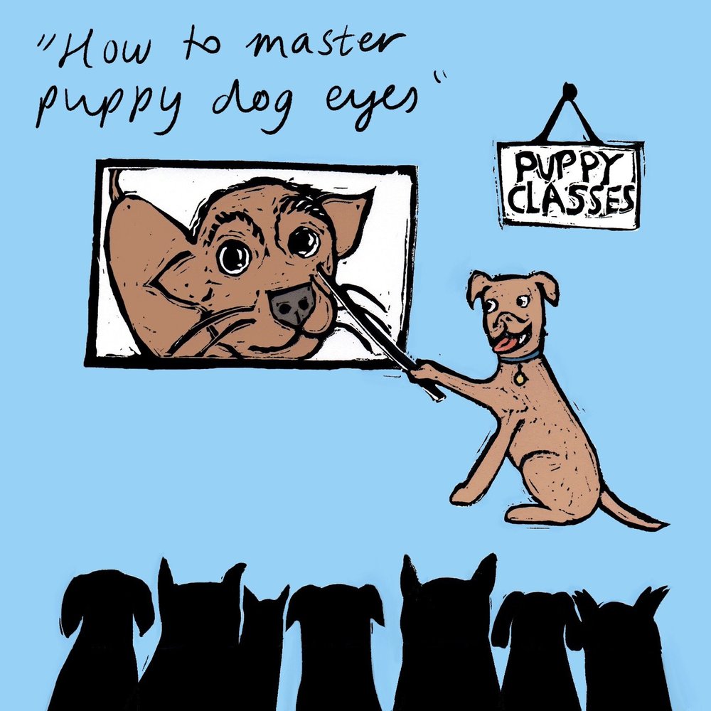 Puppy Dog Eyes greeting card