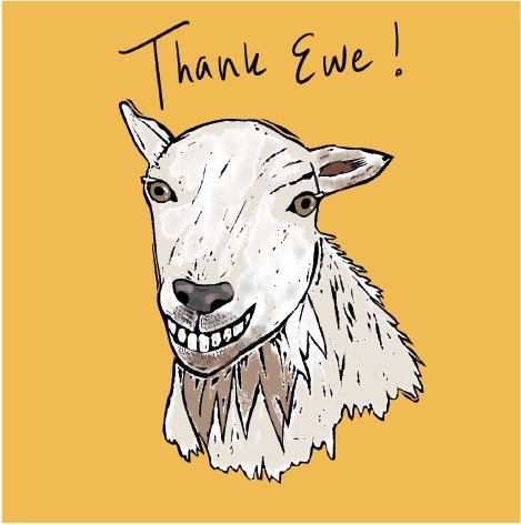 Thank Ewe greeting card
