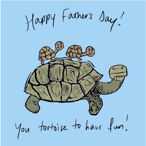 You Tortoise Fun greeting card